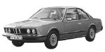 BMW E24 DF1067 Fault Code